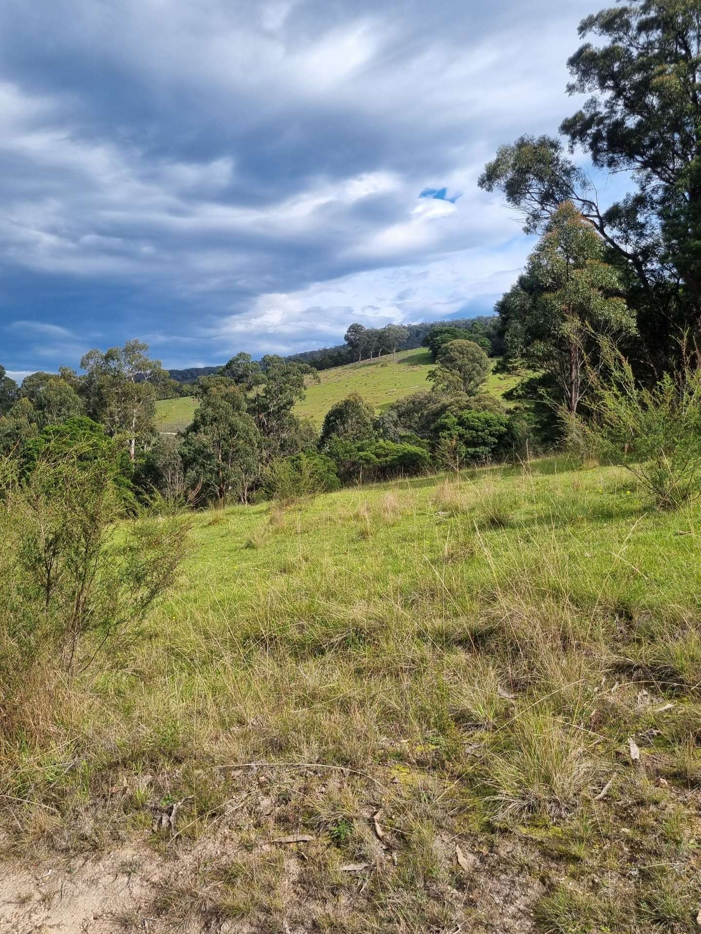 351 Mia Mia Road, Merrijig For Sale by Farmbuy.com - image 26