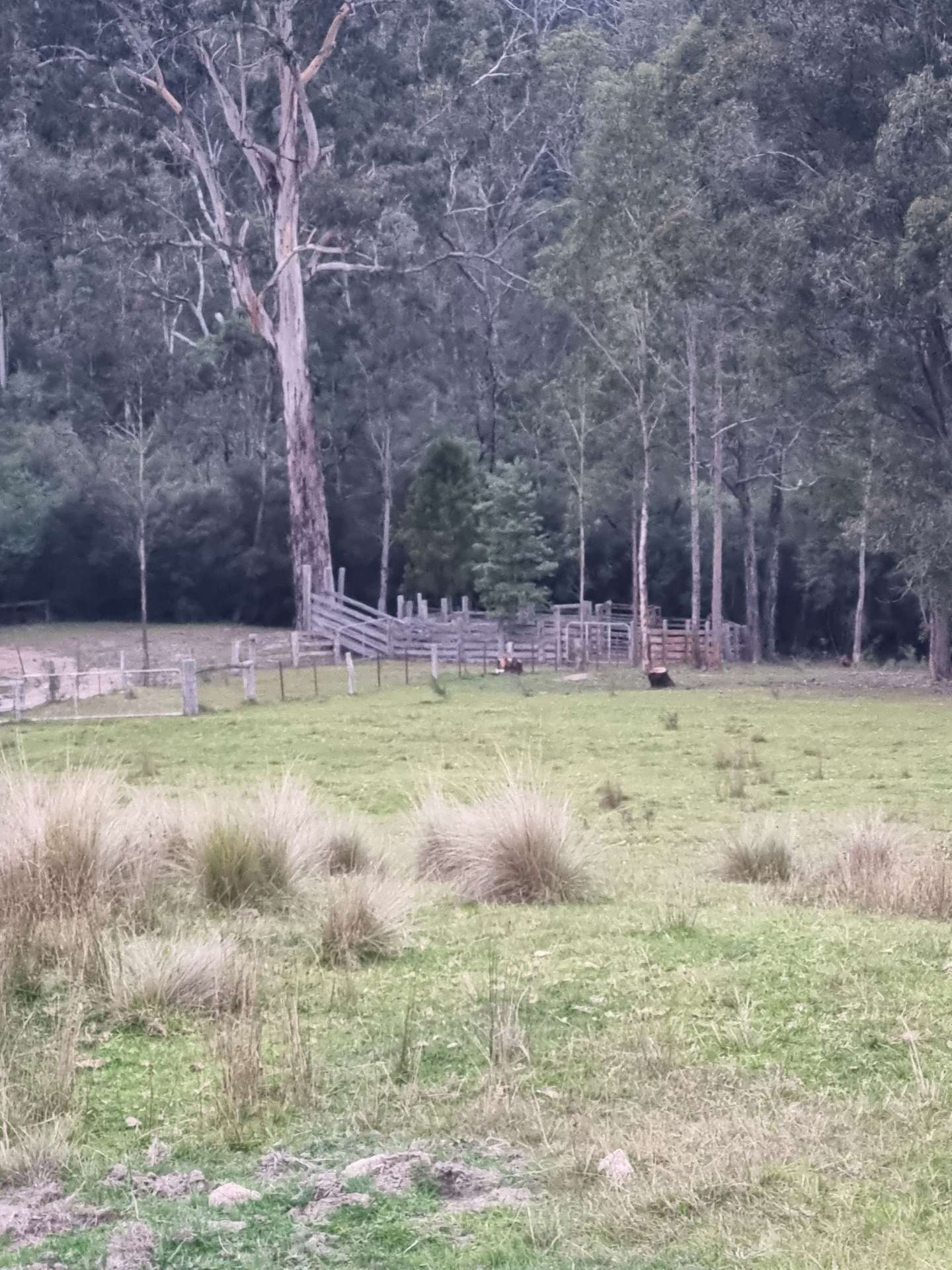 351 Mia Mia Road, Merrijig For Sale by Farmbuy.com - image 31