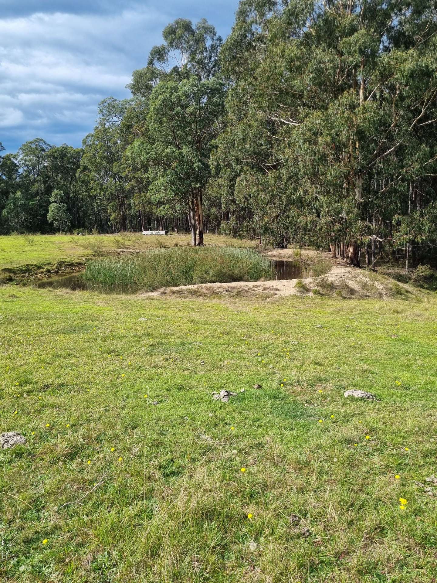 351 Mia Mia Road, Merrijig For Sale by Farmbuy.com - image 27