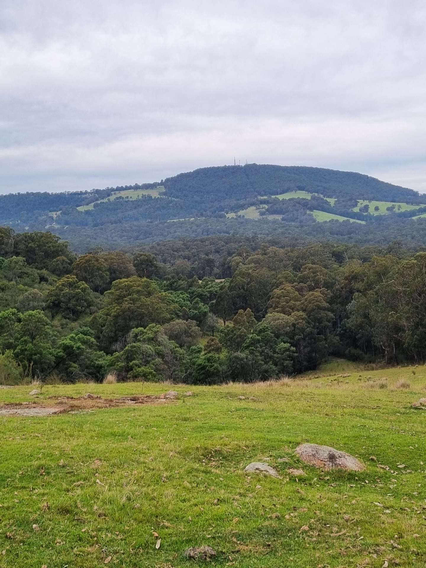 351 Mia Mia Road, Merrijig For Sale by Farmbuy.com - image 4