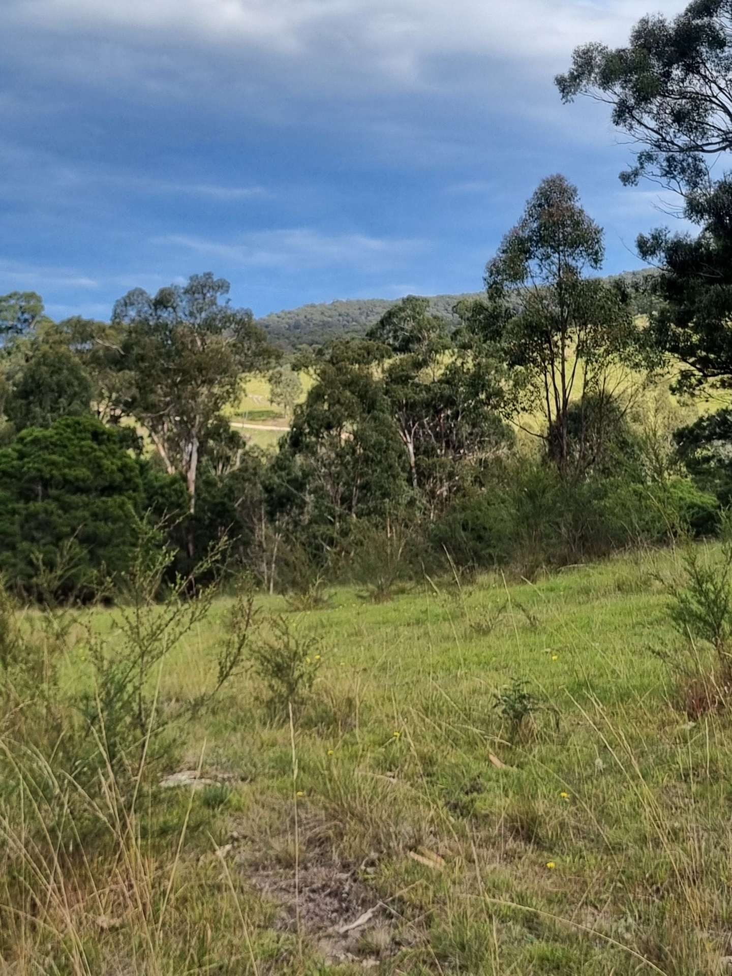 351 Mia Mia Road, Merrijig For Sale by Farmbuy.com - image 28