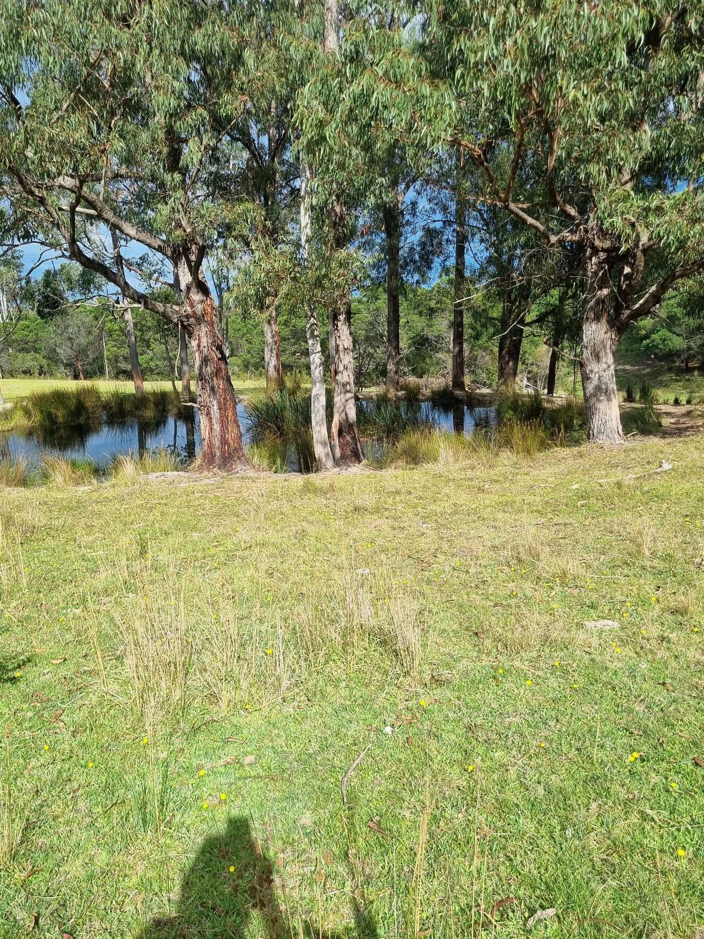 351 Mia Mia Road, Merrijig For Sale by Farmbuy.com - image 7