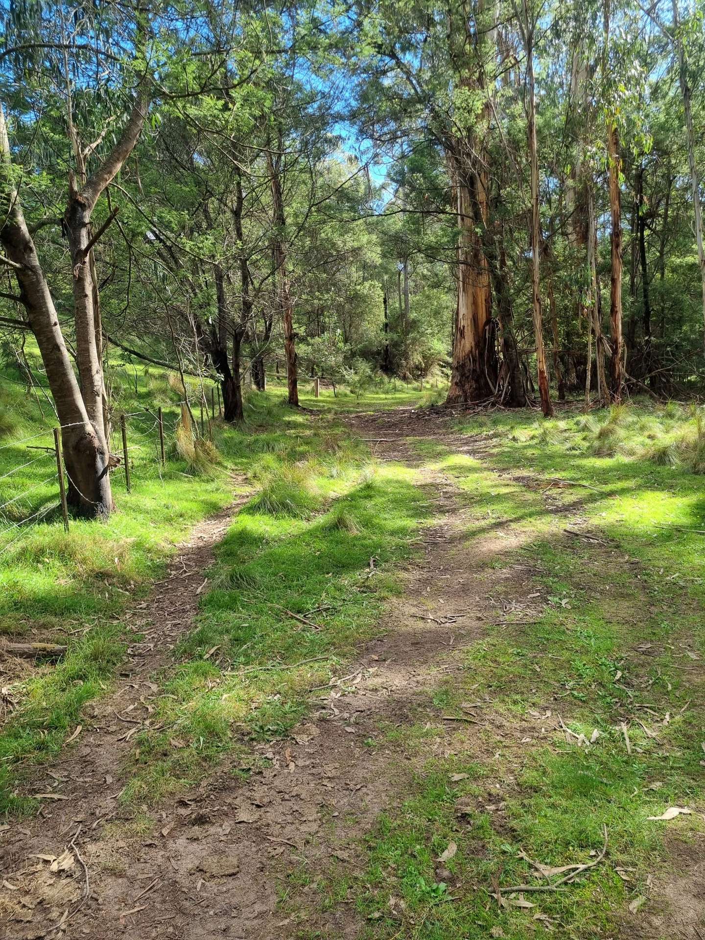351 Mia Mia Road, Merrijig For Sale by Farmbuy.com - image 30