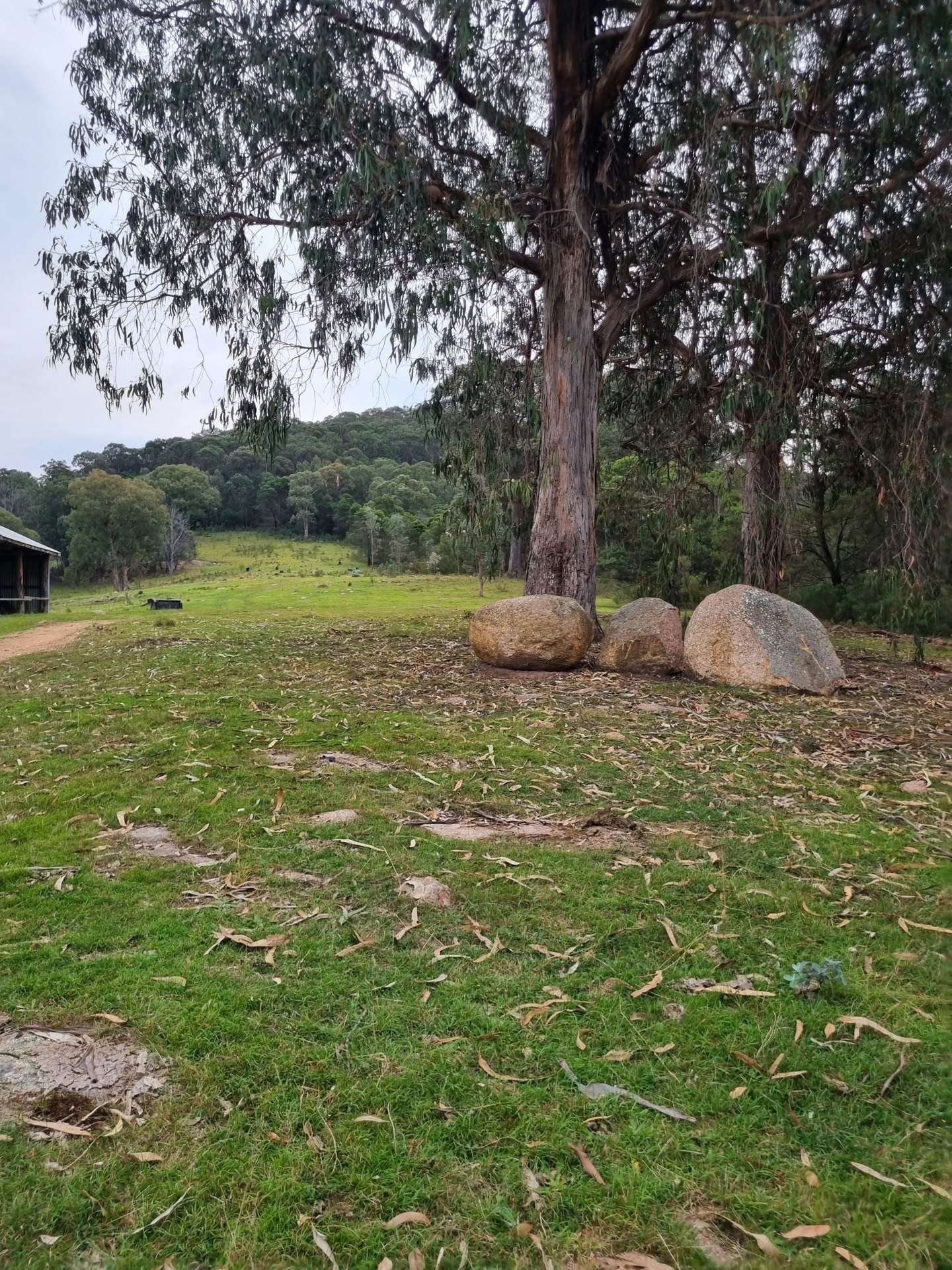 351 Mia Mia Road, Merrijig For Sale by Farmbuy.com - image 8