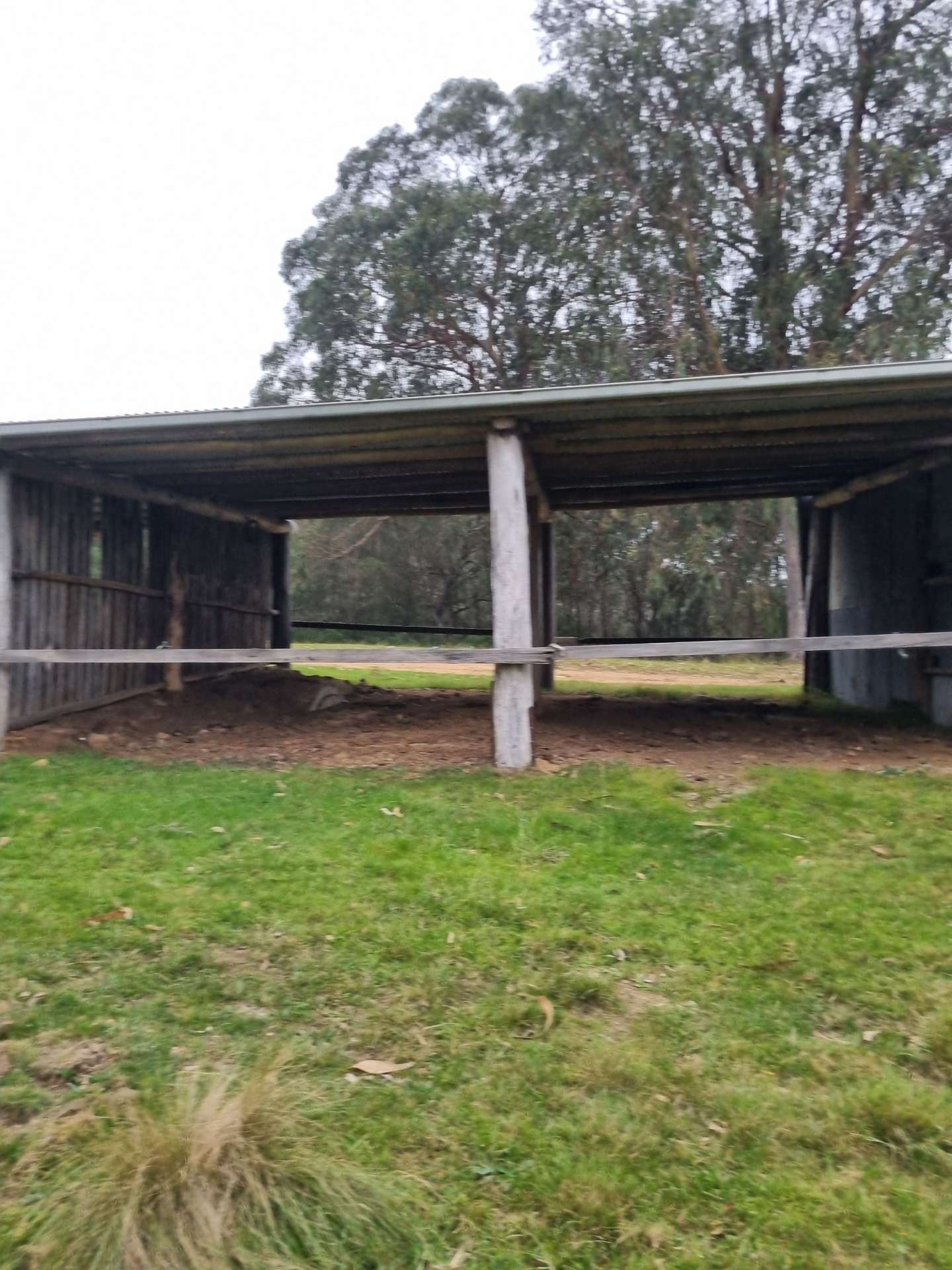 351 Mia Mia Road, Merrijig For Sale by Farmbuy.com - image 17