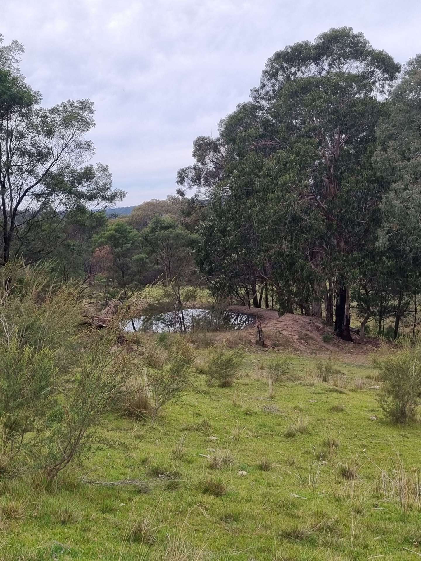 351 Mia Mia Road, Merrijig For Sale by Farmbuy.com - image 34