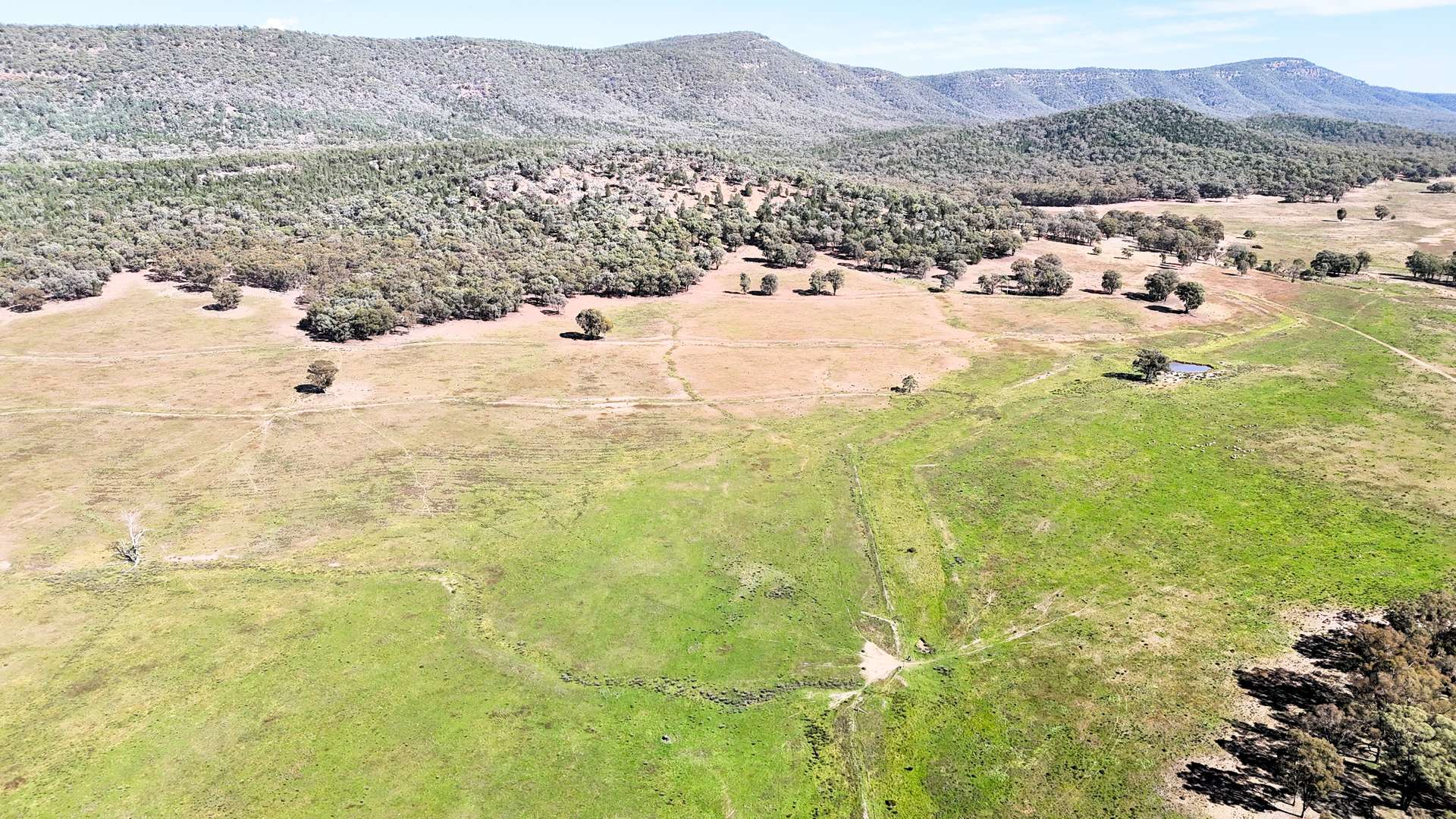 Lots 68 & 69 Stock Route Road, Grenfell For Sale by Farmbuy.com - image 4