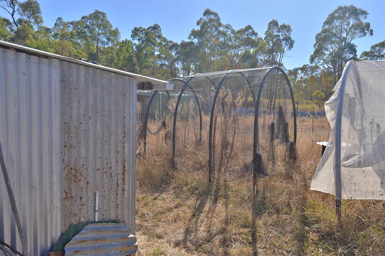 14 GALAXY PLACE, Coonabarabran For Sale by Farmbuy.com - image 19