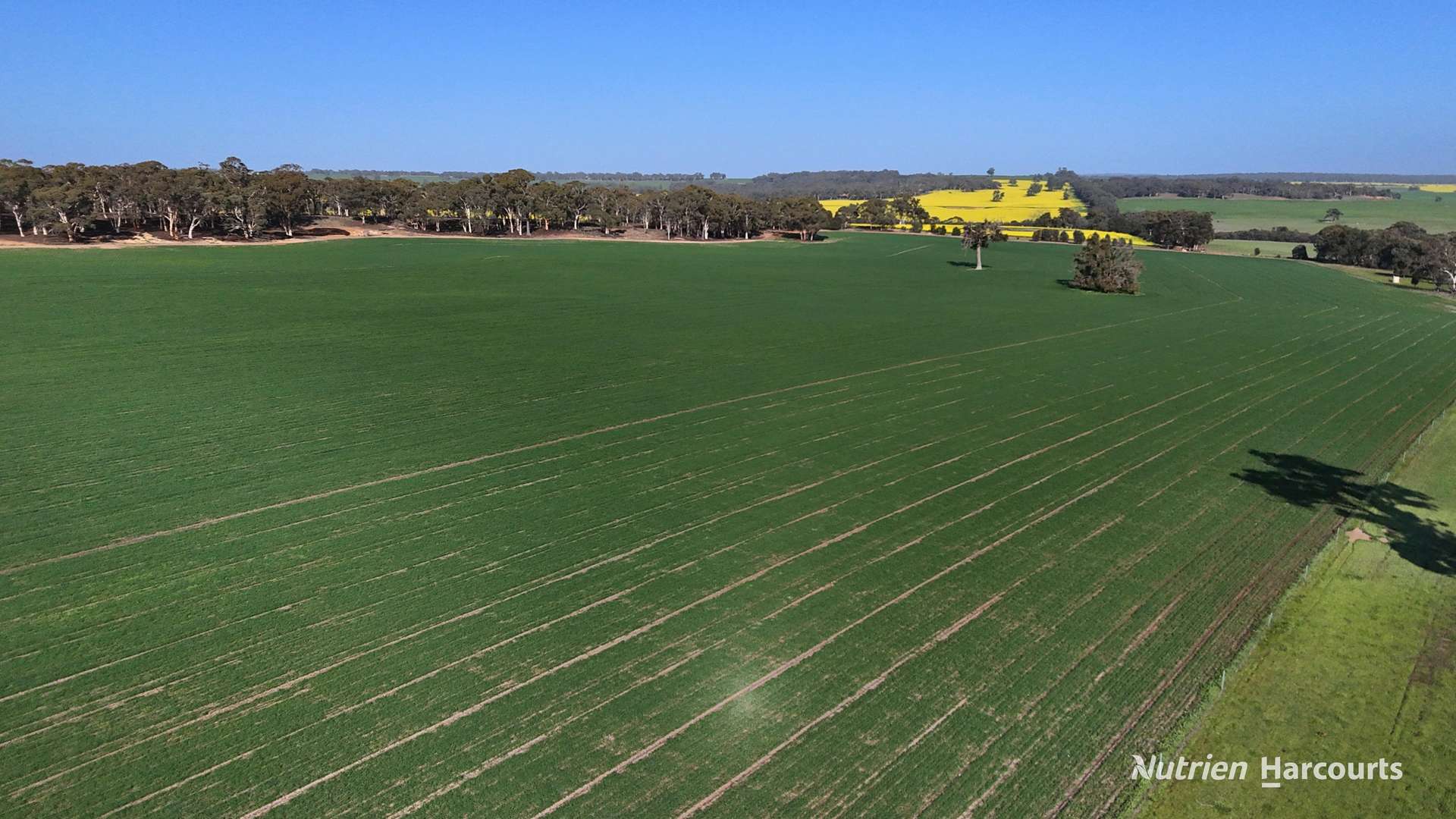 333 Helena Road, Balladong For Sale by Farmbuy.com - image 29