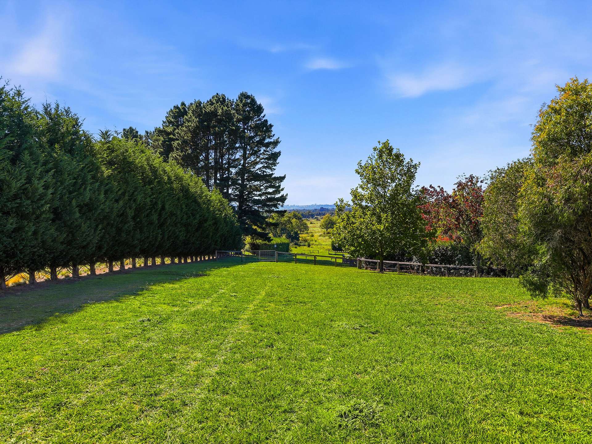 Moss Vale For Sale by Farmbuy.com - image 5