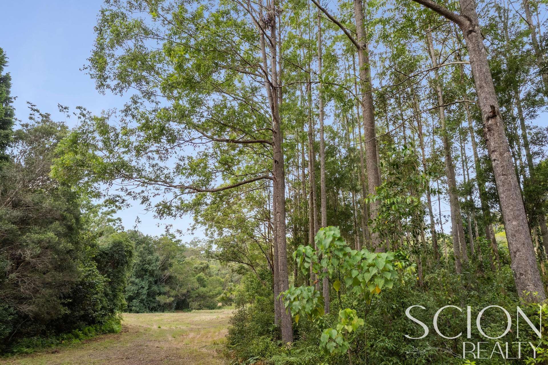 80 Western Branch Road, Kin Kin For Sale by Farmbuy.com - image 29