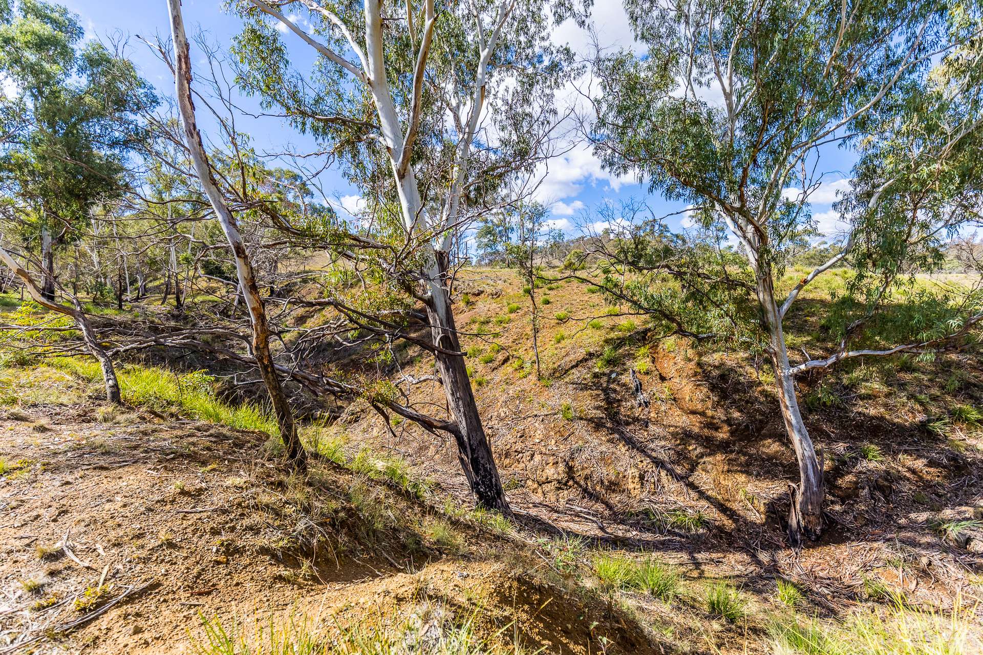 2652 Ilford Sofala Road, Sofala For Sale by Farmbuy.com - image 5