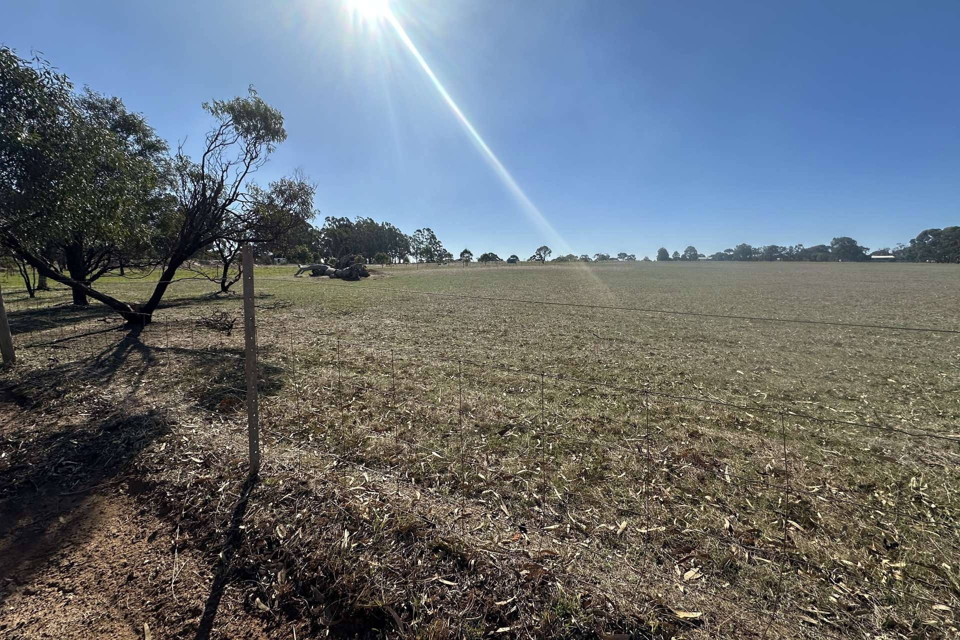 Lot 431,  Nelson Street, Broomehill Village For Sale by Farmbuy.com - image 11