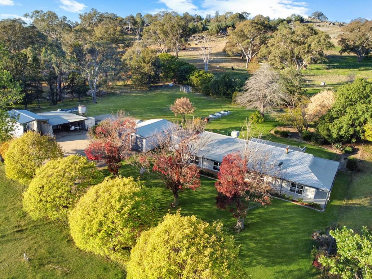 210 Belmore Road, Young For Sale by Farmbuy.com - image 3