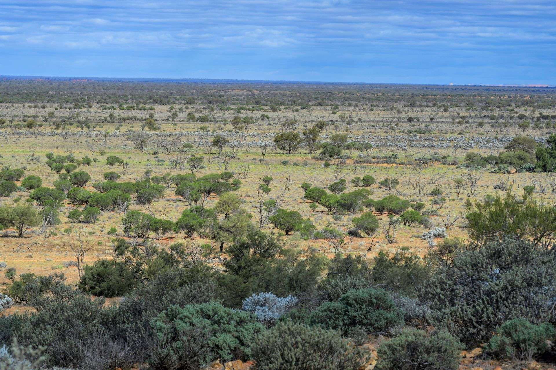 "Jumbuck Station" Via Stuart Highway, Kingoonya For Sale by Farmbuy.com - image 34