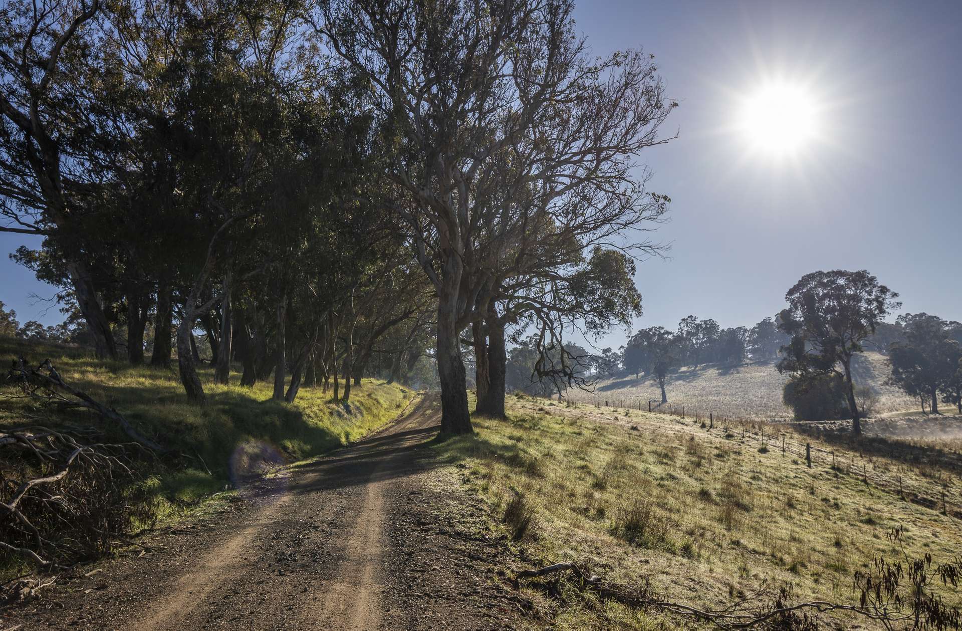 'The Grove' 635 Grove Creek Road, Trunkey Creek Auction by Farmbuy.com - image 28