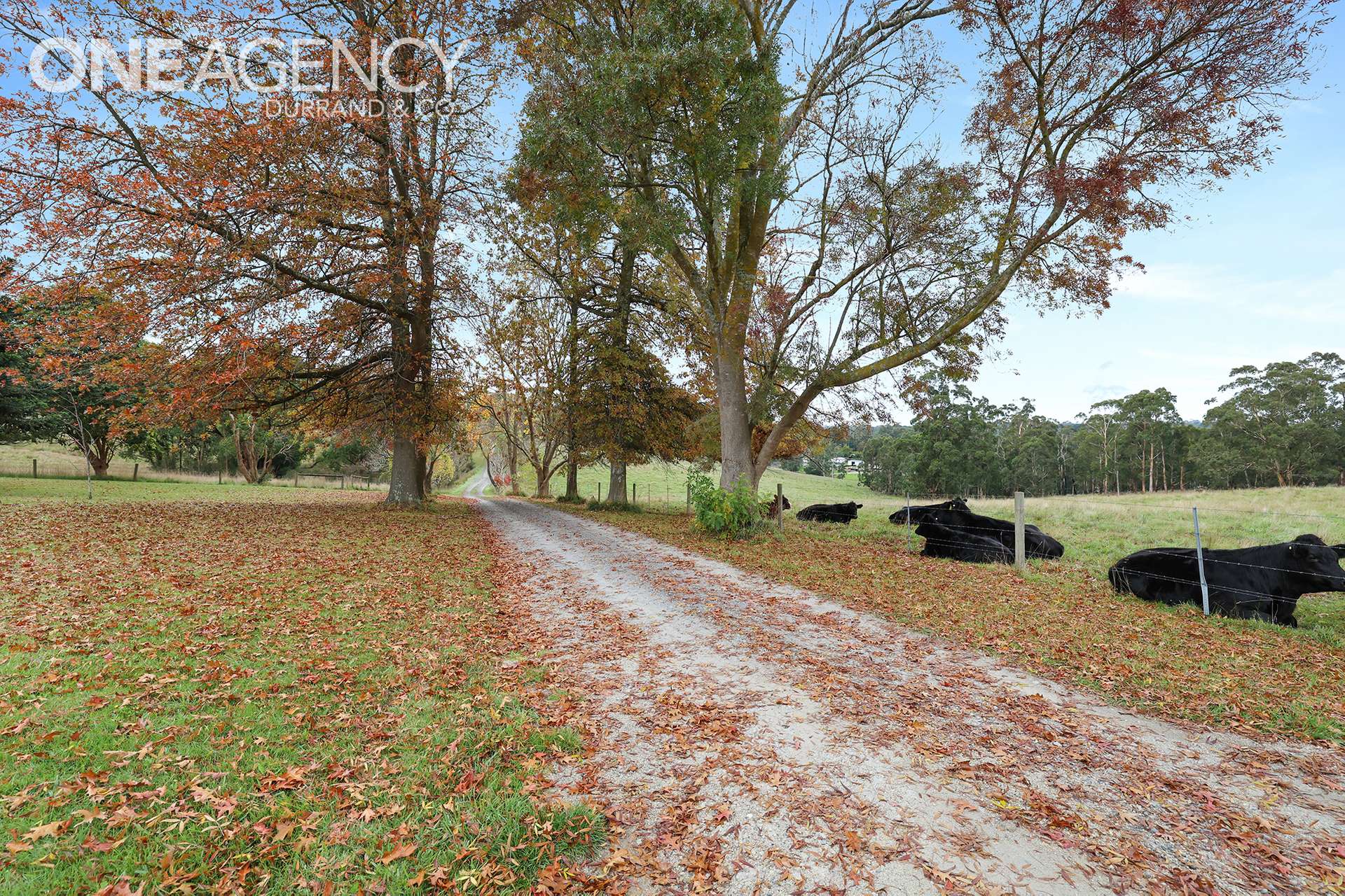 99 Fisher Road, Drouin West For Sale by Farmbuy.com - image 24