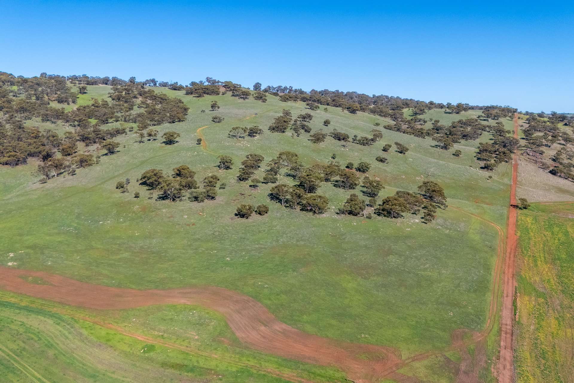 Toodyay Sold by Farmbuy.com - image 12