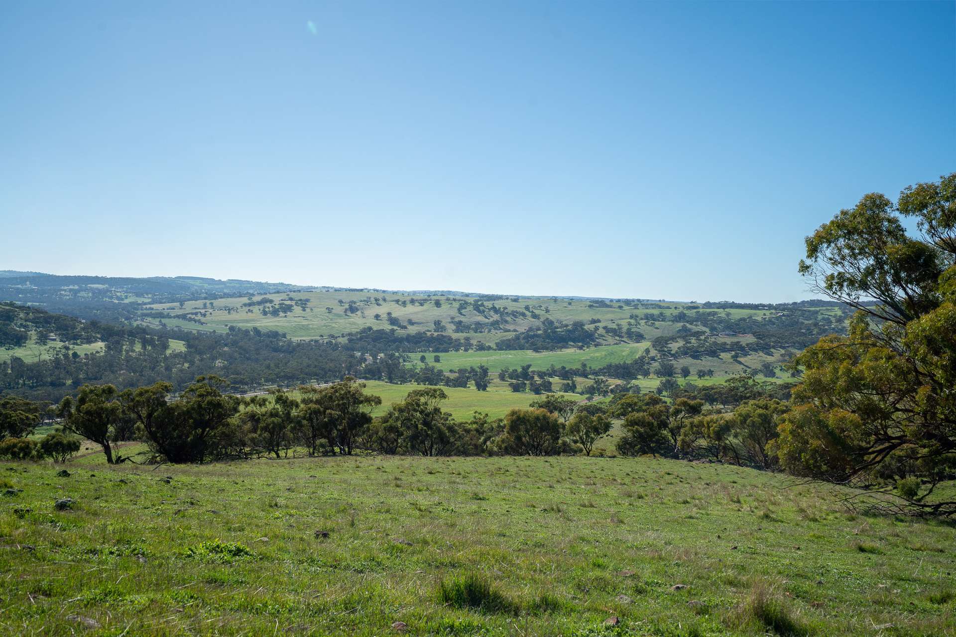 Toodyay For Sale by Farmbuy.com - image 9