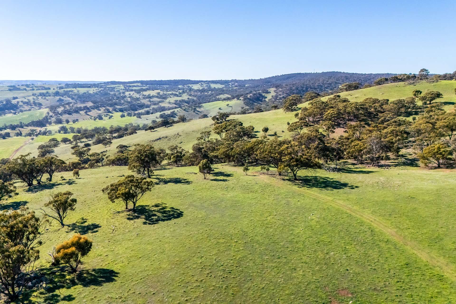 Toodyay Sold by Farmbuy.com - image 3