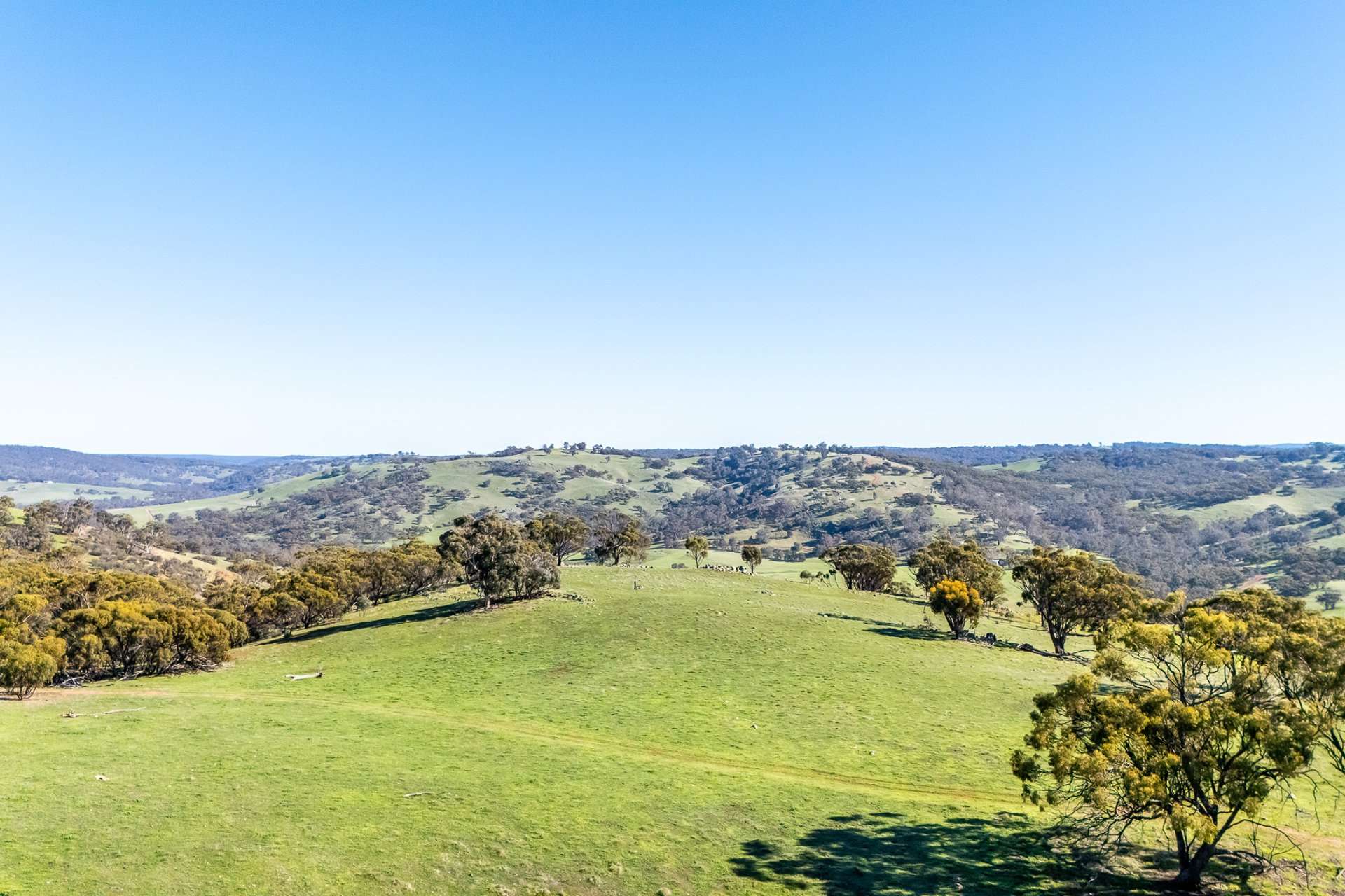 Toodyay Sold by Farmbuy.com - image 4