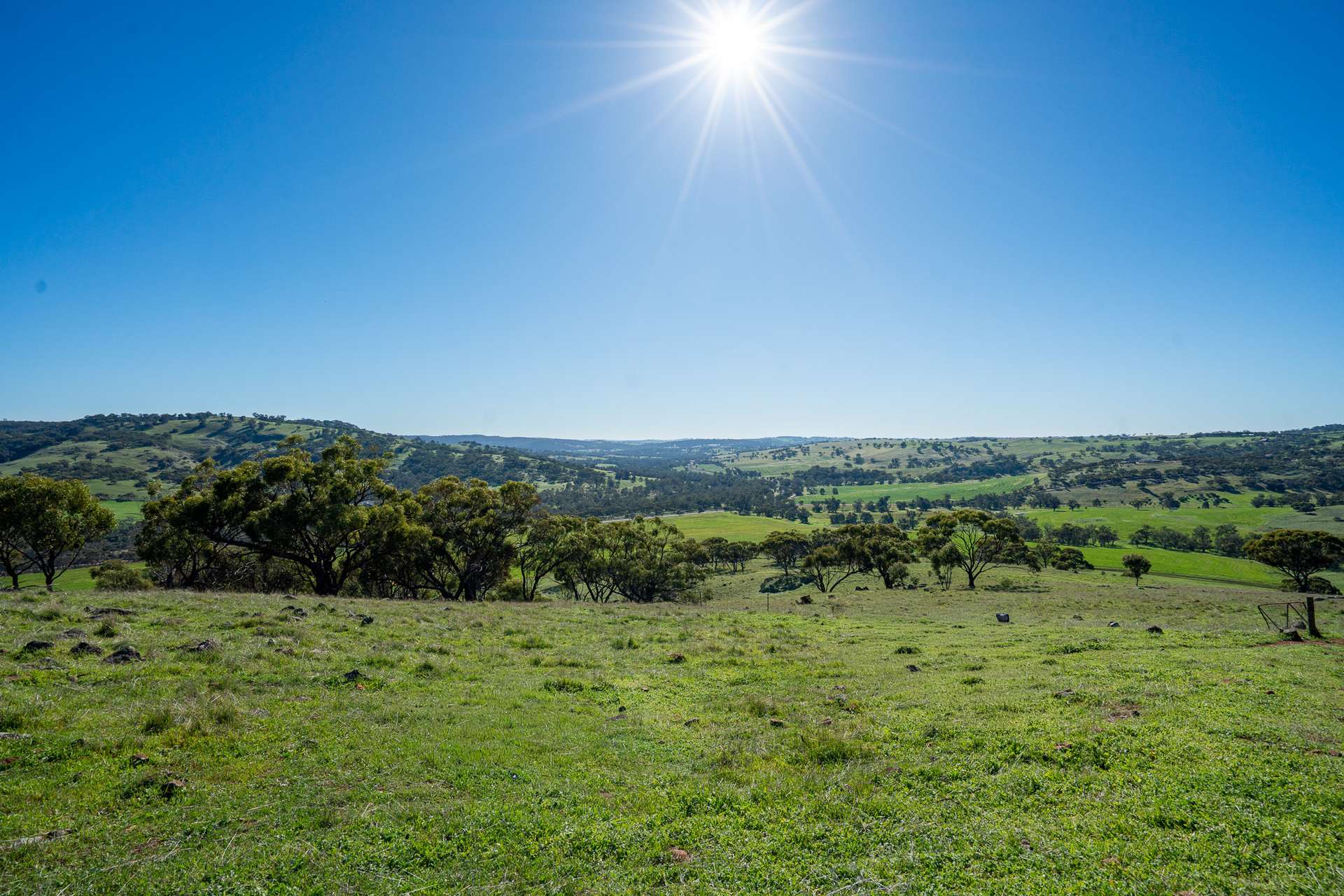 Toodyay For Sale by Farmbuy.com - image 8