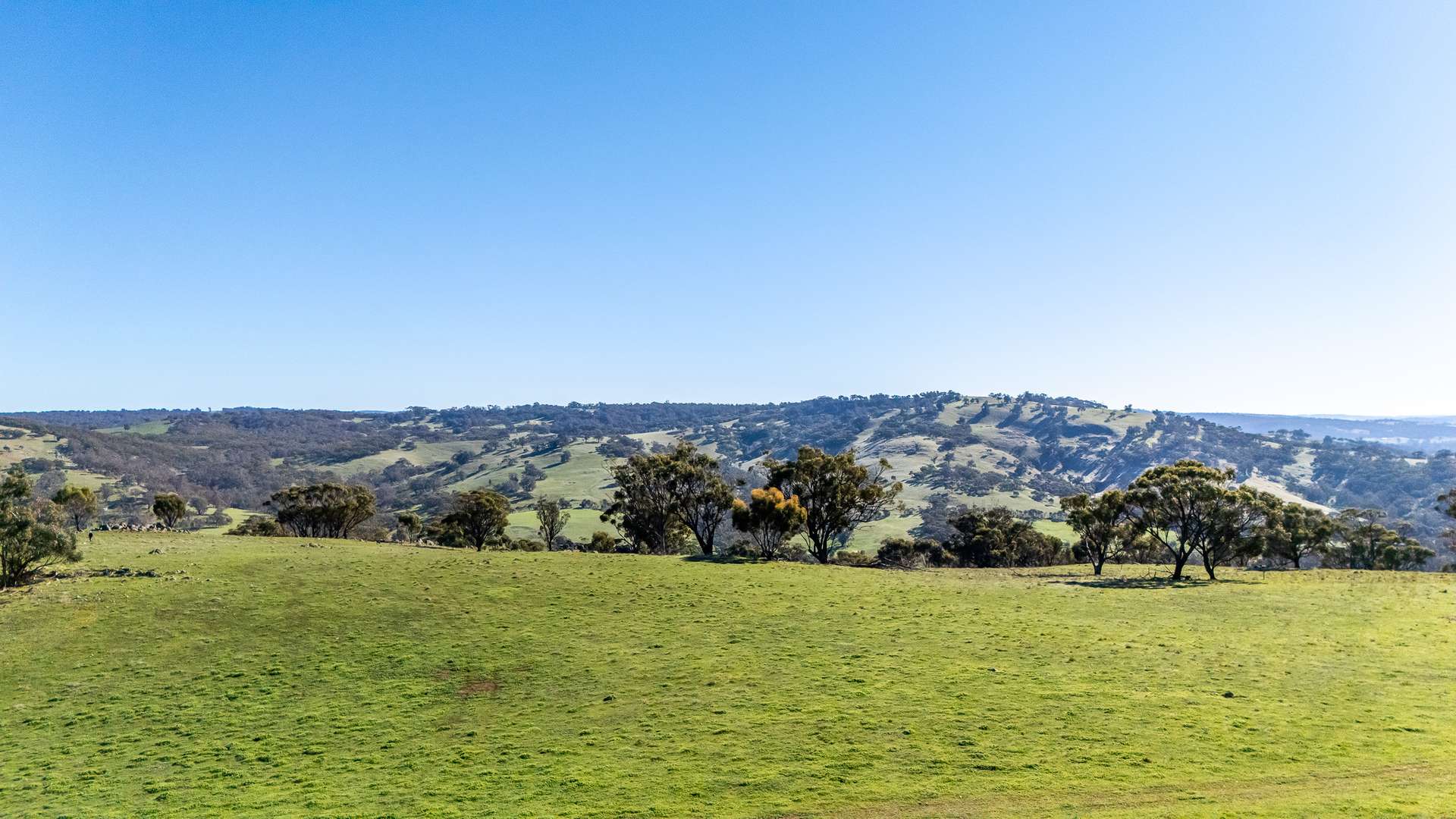 Toodyay For Sale by Farmbuy.com - image 5