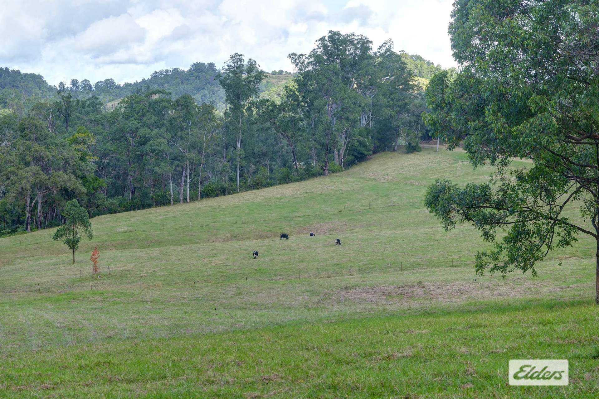 1020 Caparra Road, Caparra For Sale by Farmbuy.com - image 18