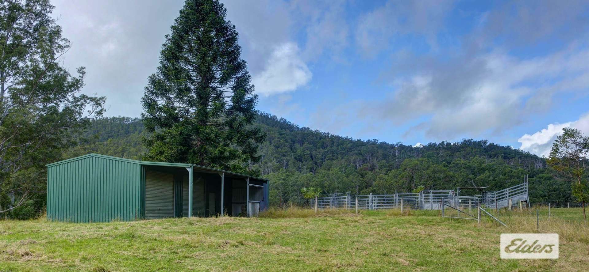 1020 Caparra Road, Caparra For Sale by Farmbuy.com - image 19