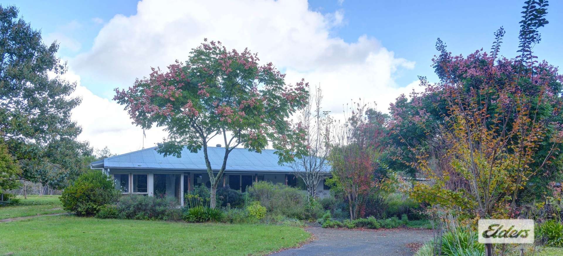 1020 Caparra Road, Caparra For Sale by Farmbuy.com - image 2