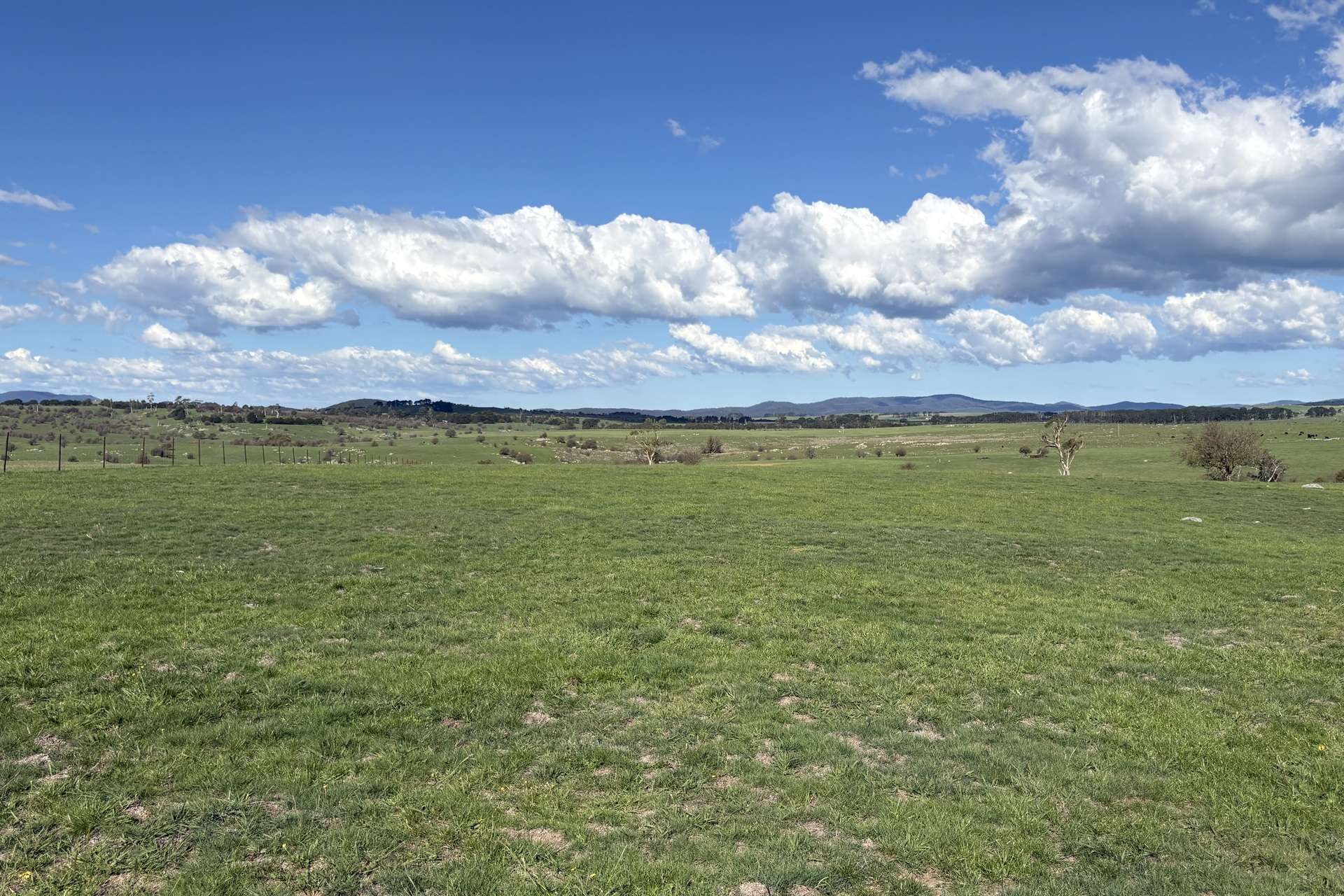 2 Aubrey Close, Braidwood For Sale by Farmbuy.com - image 3