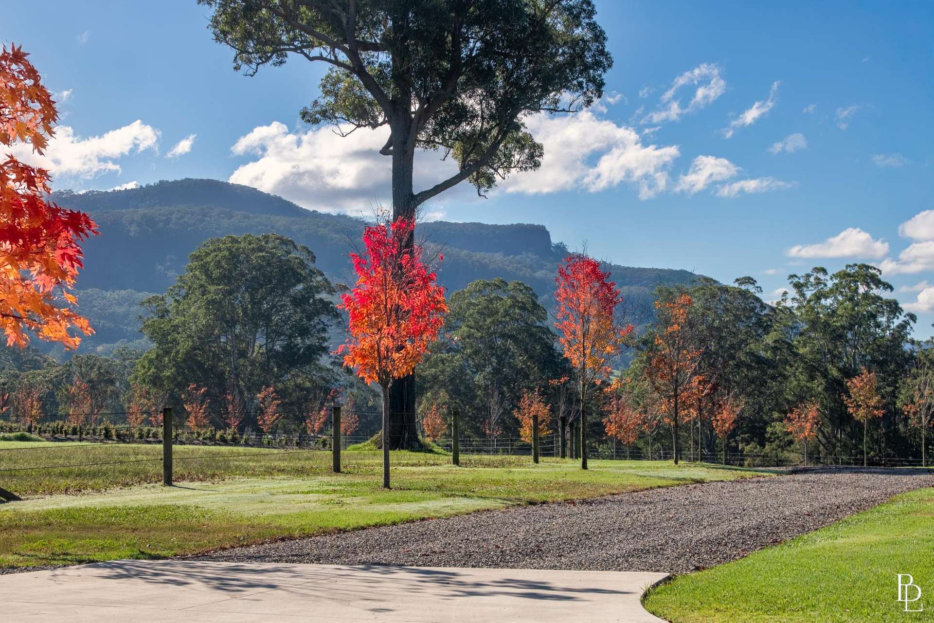 65D Glenmurray Road, Kangaroo Valley For Sale by Farmbuy.com - image 5