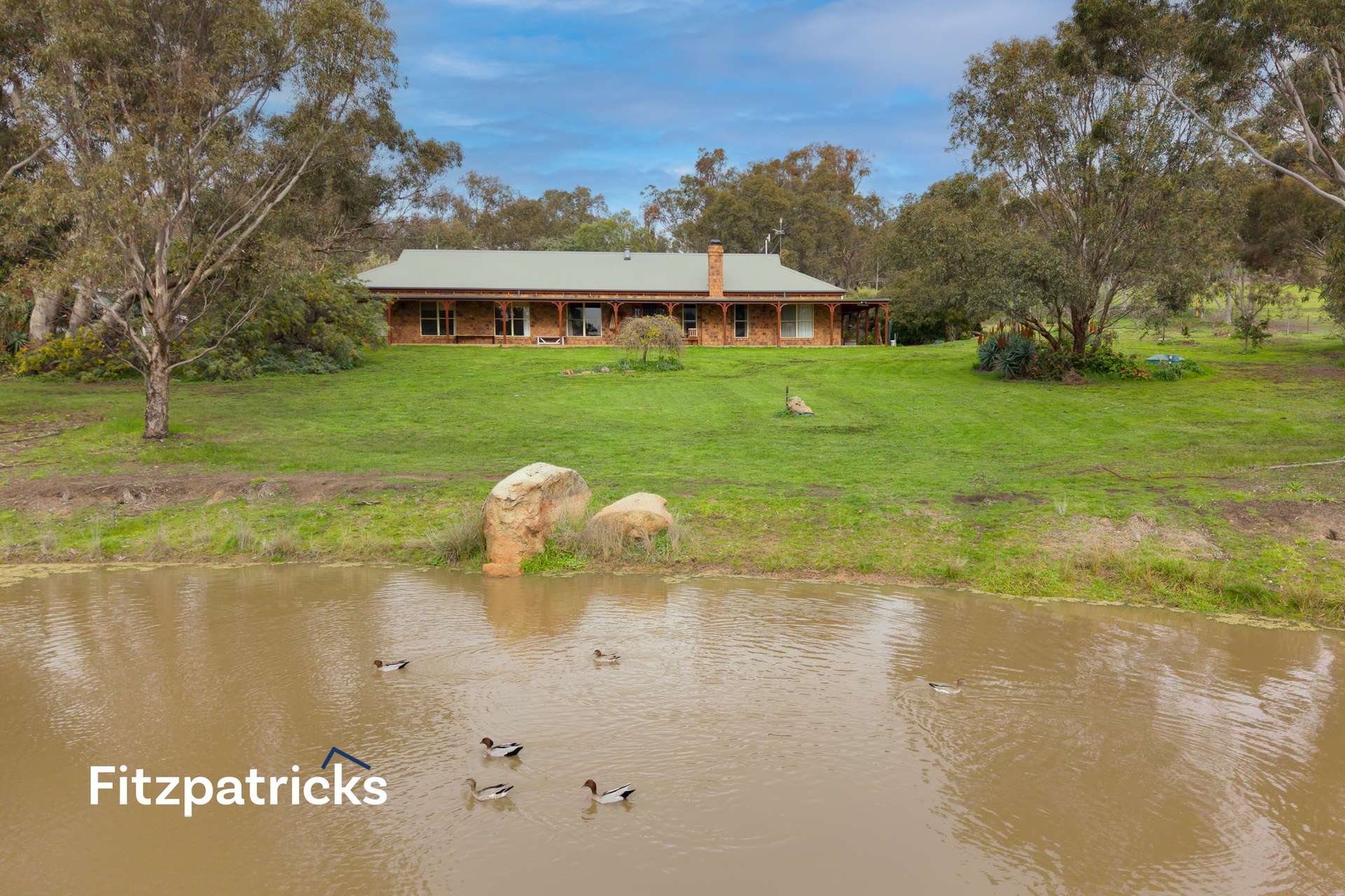 6361 Holbrook Road, Gelston Park For Sale by Farmbuy.com - image 2