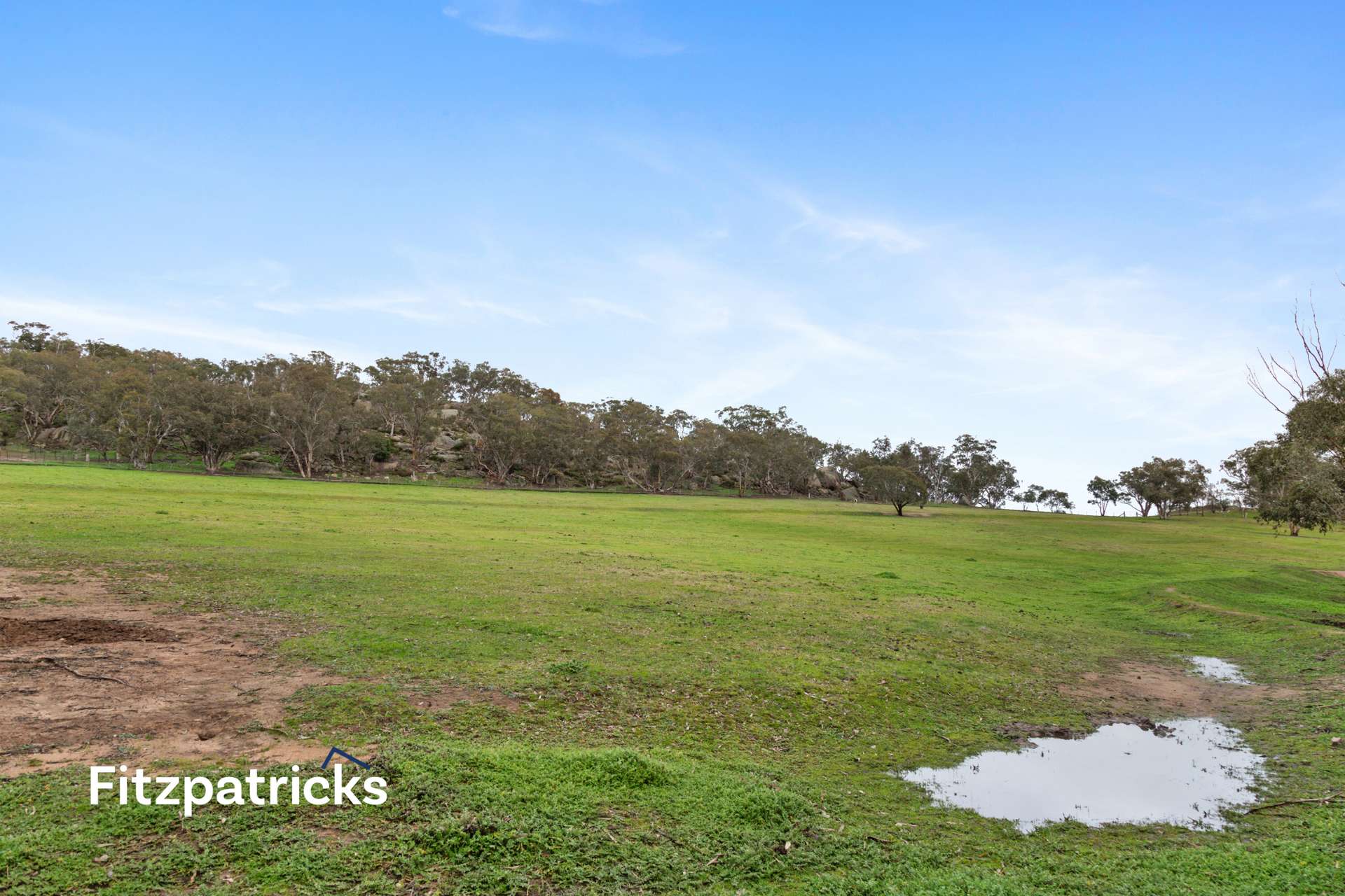 6361 Holbrook Road, Gelston Park For Sale by Farmbuy.com - image 13