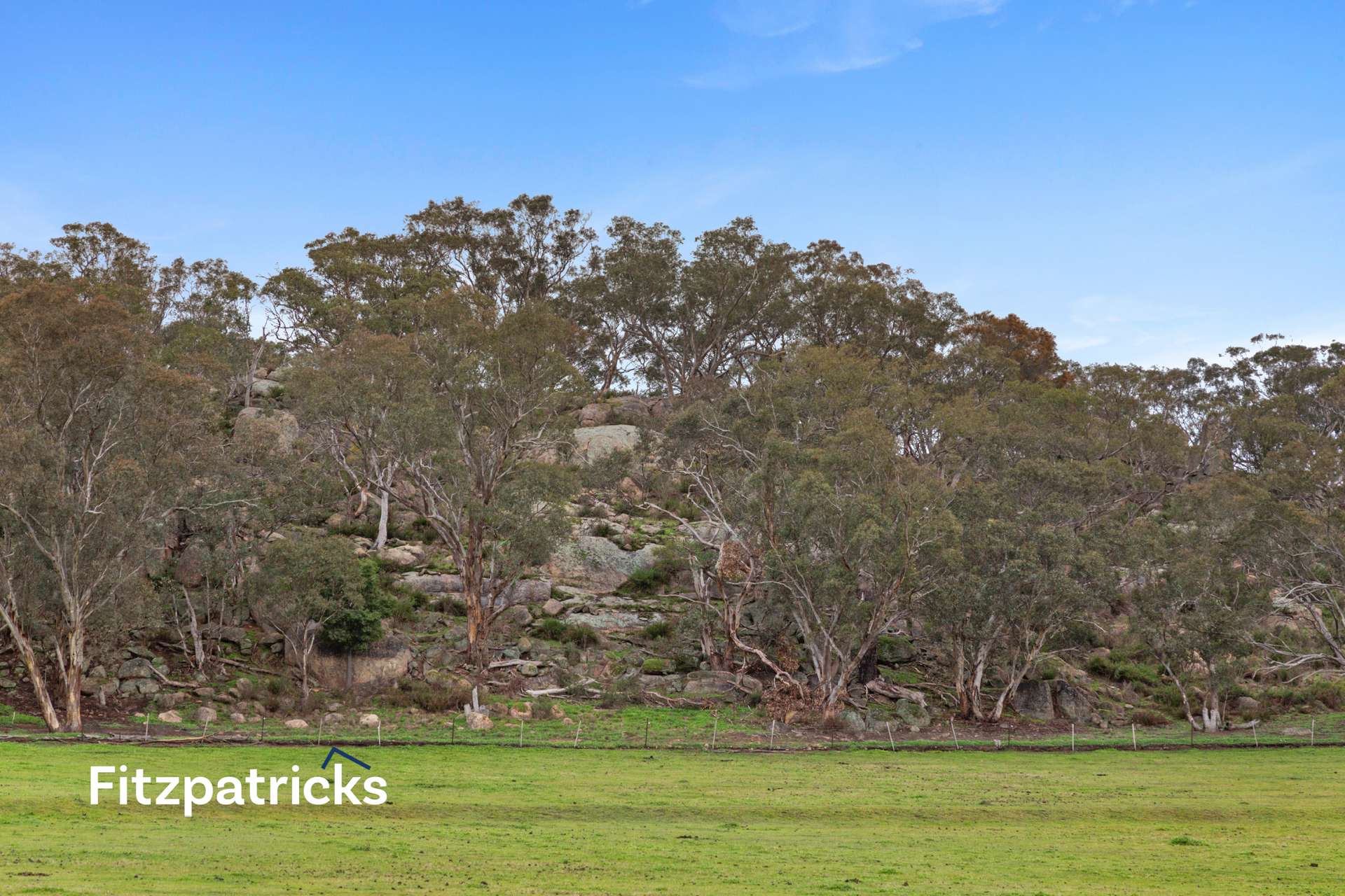 6361 Holbrook Road, Gelston Park For Sale by Farmbuy.com - image 15