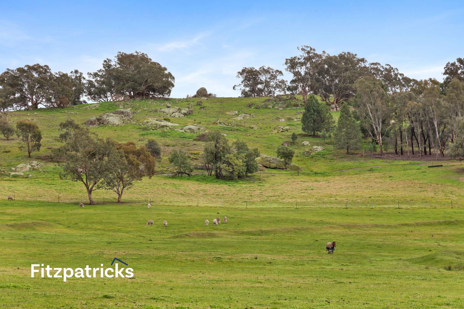 6361 Holbrook Road, Gelston Park For Sale by Farmbuy.com - image 12
