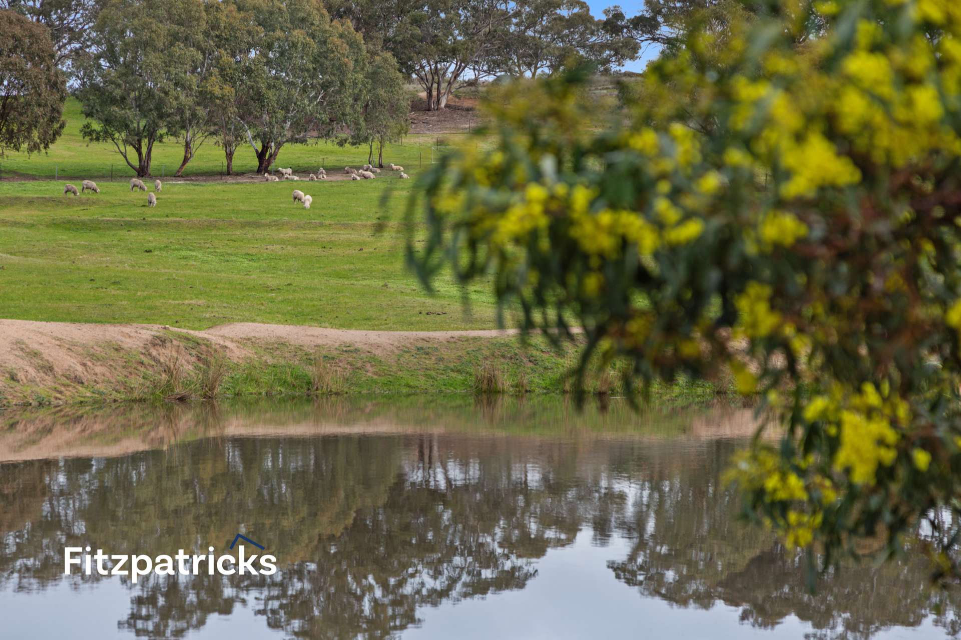 6361 Holbrook Road, Gelston Park For Sale by Farmbuy.com - image 14