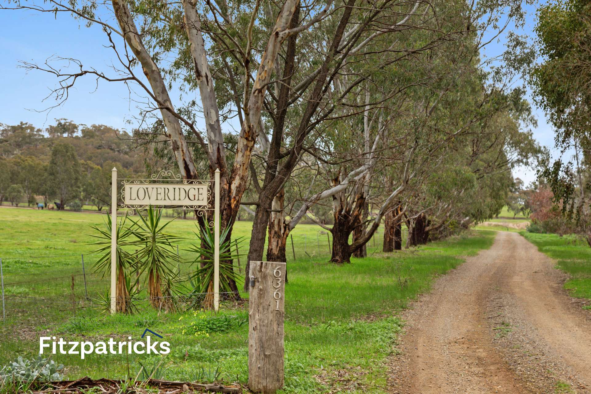 6361 Holbrook Road, Gelston Park For Sale by Farmbuy.com - image 7