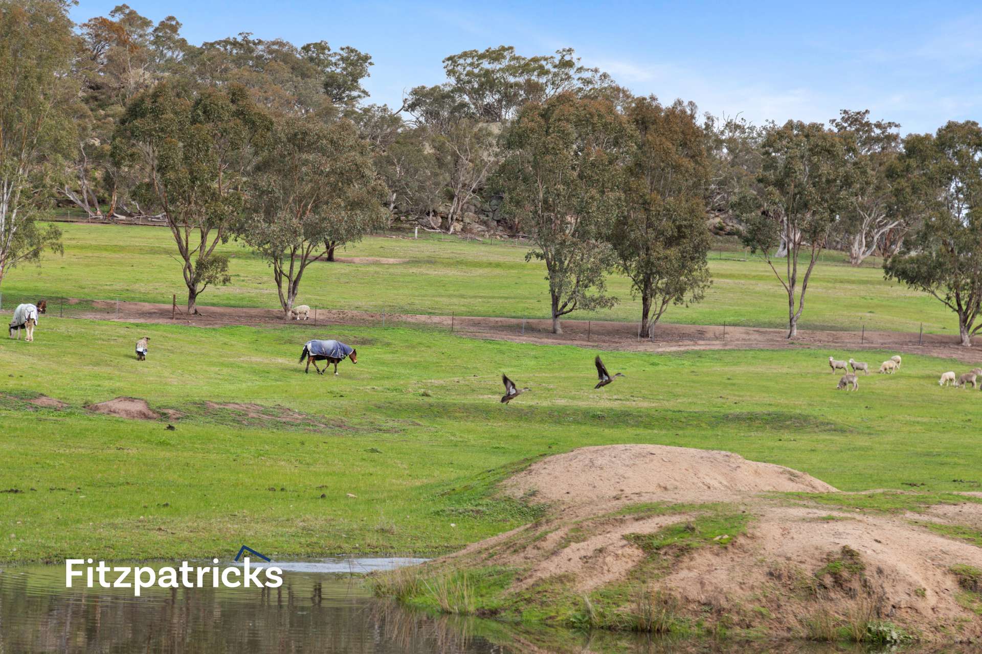 6361 Holbrook Road, Gelston Park For Sale by Farmbuy.com - image 10