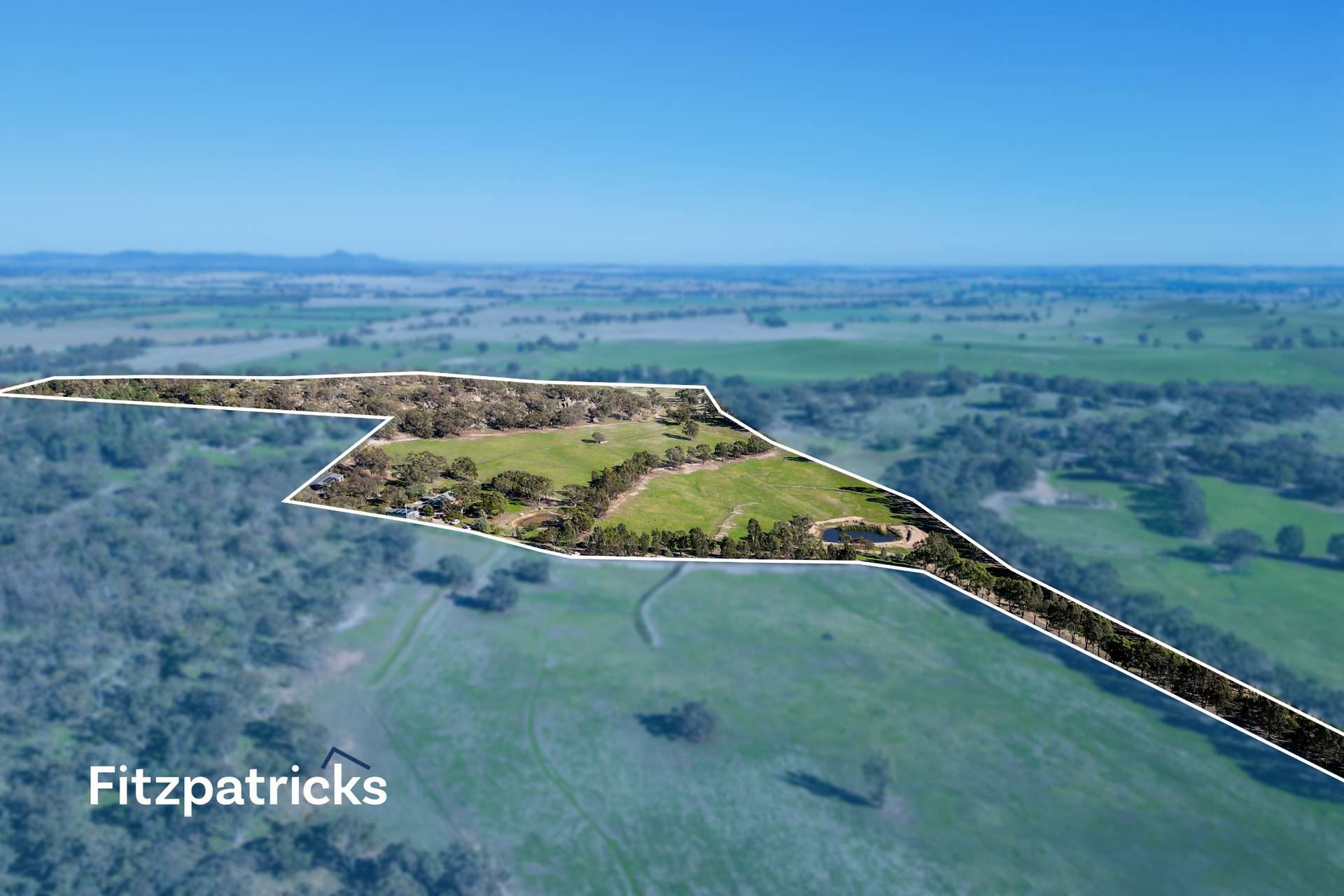 6361 Holbrook Road, Gelston Park For Sale by Farmbuy.com - image 5