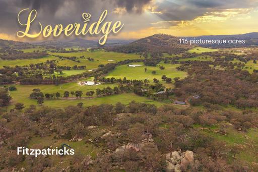 6361 Holbrook Road, Gelston Park NSW 2650