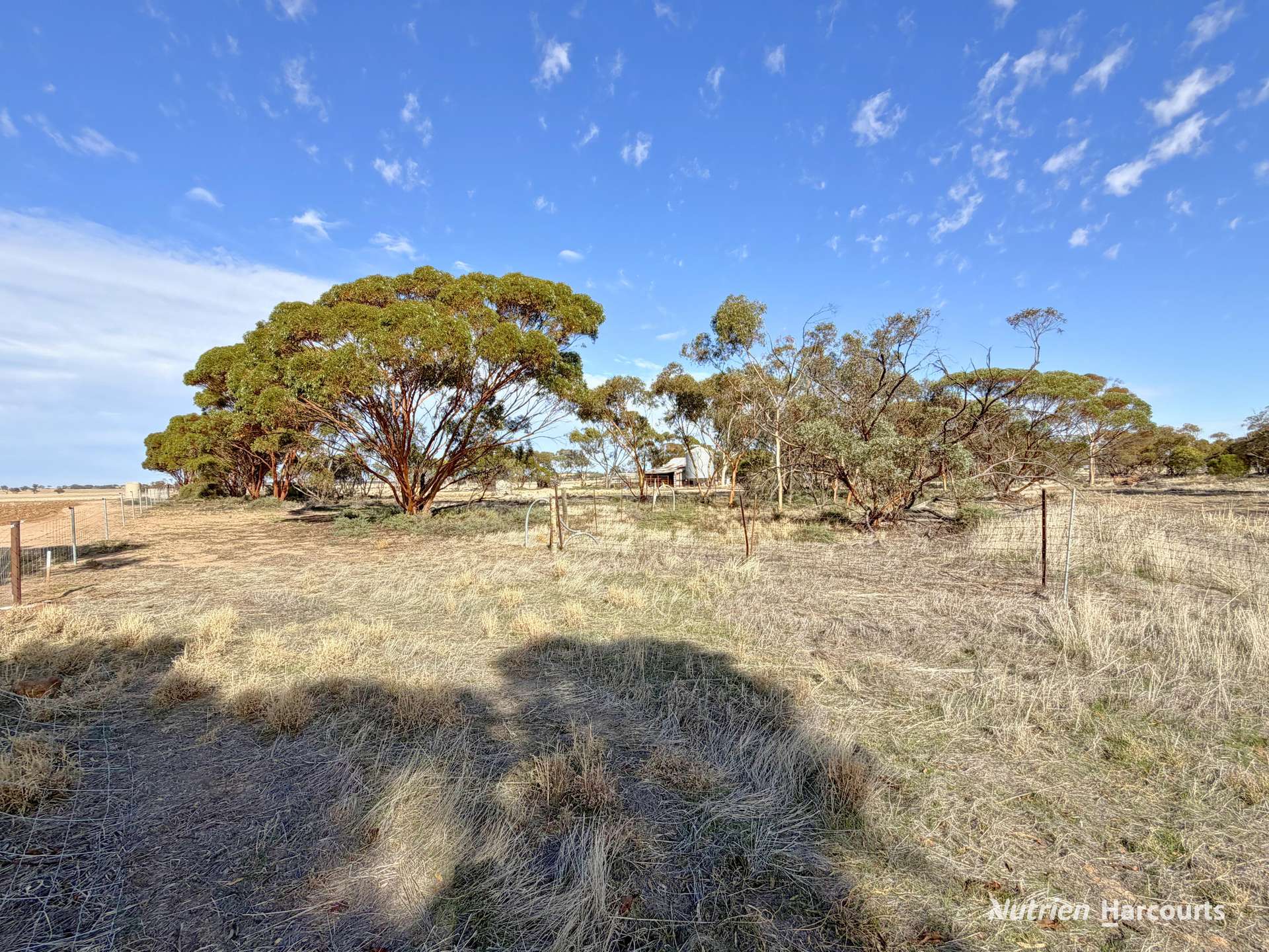 60 Hughes Road, Merredin For Sale by Farmbuy.com - image 5