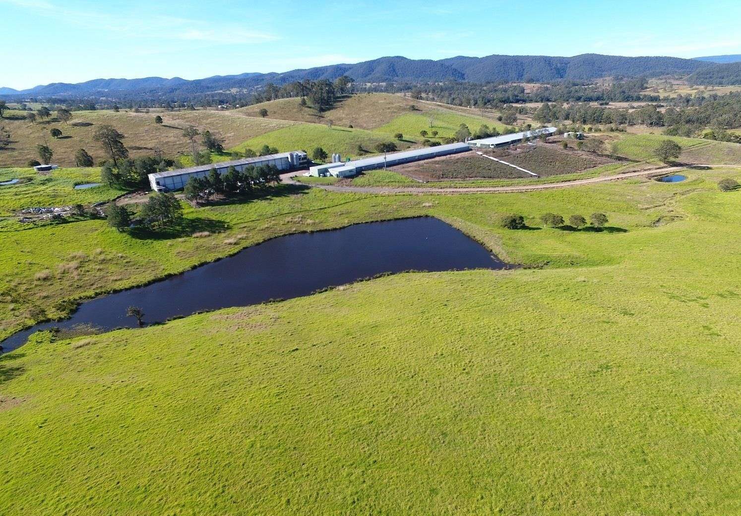 Lot 1 2135 The Bucketts Way, Wards River For Sale by Farmbuy.com - image 6