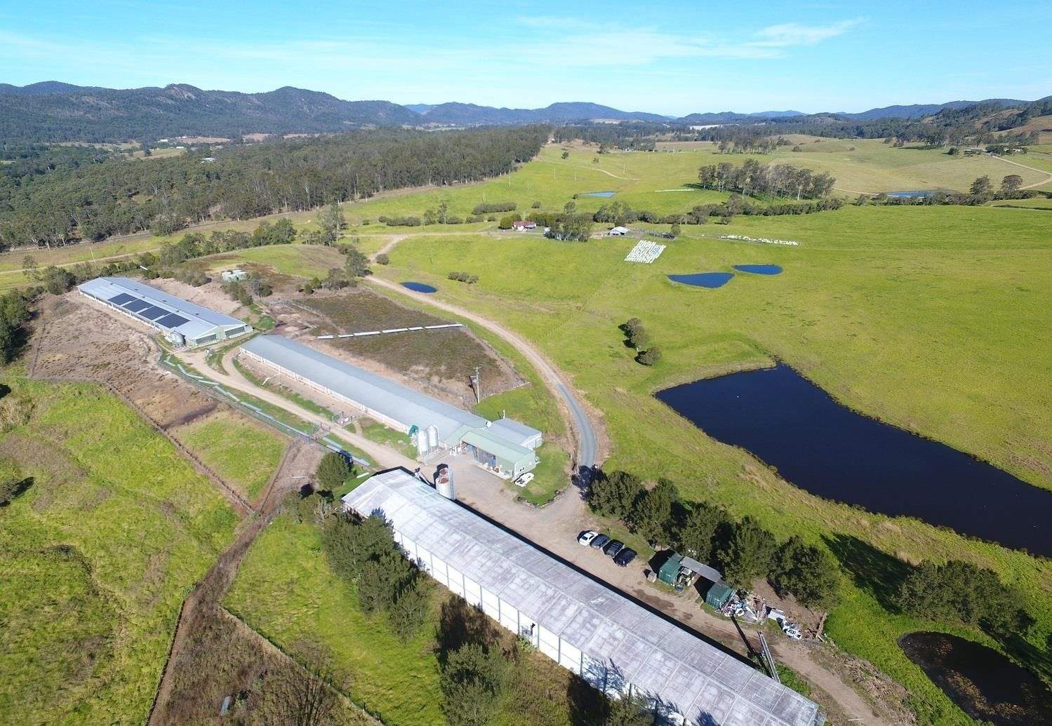 Lot 1 2135 The Bucketts Way, Wards River For Sale by Farmbuy.com - image 7