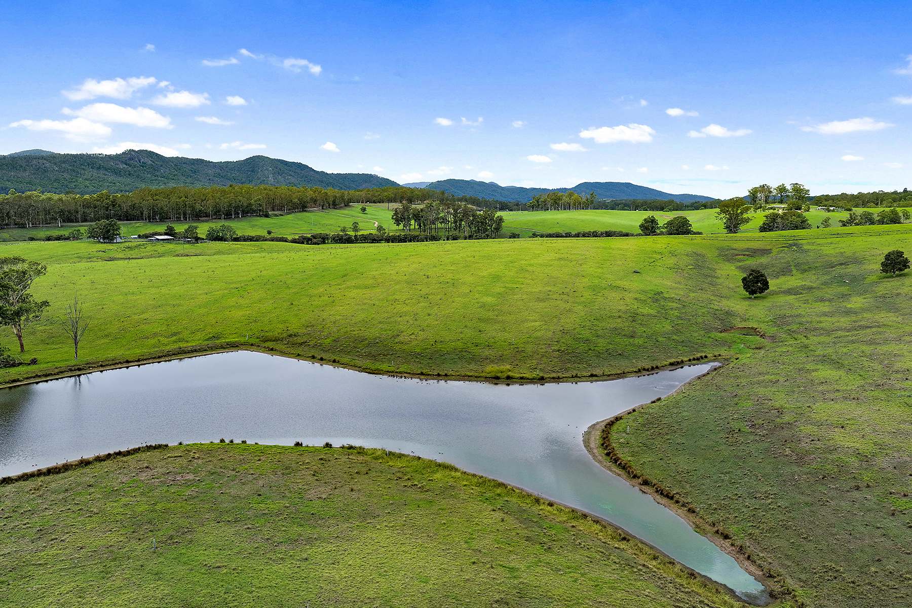 Lot 1 2135 The Bucketts Way, Wards River For Sale by Farmbuy.com - image 10