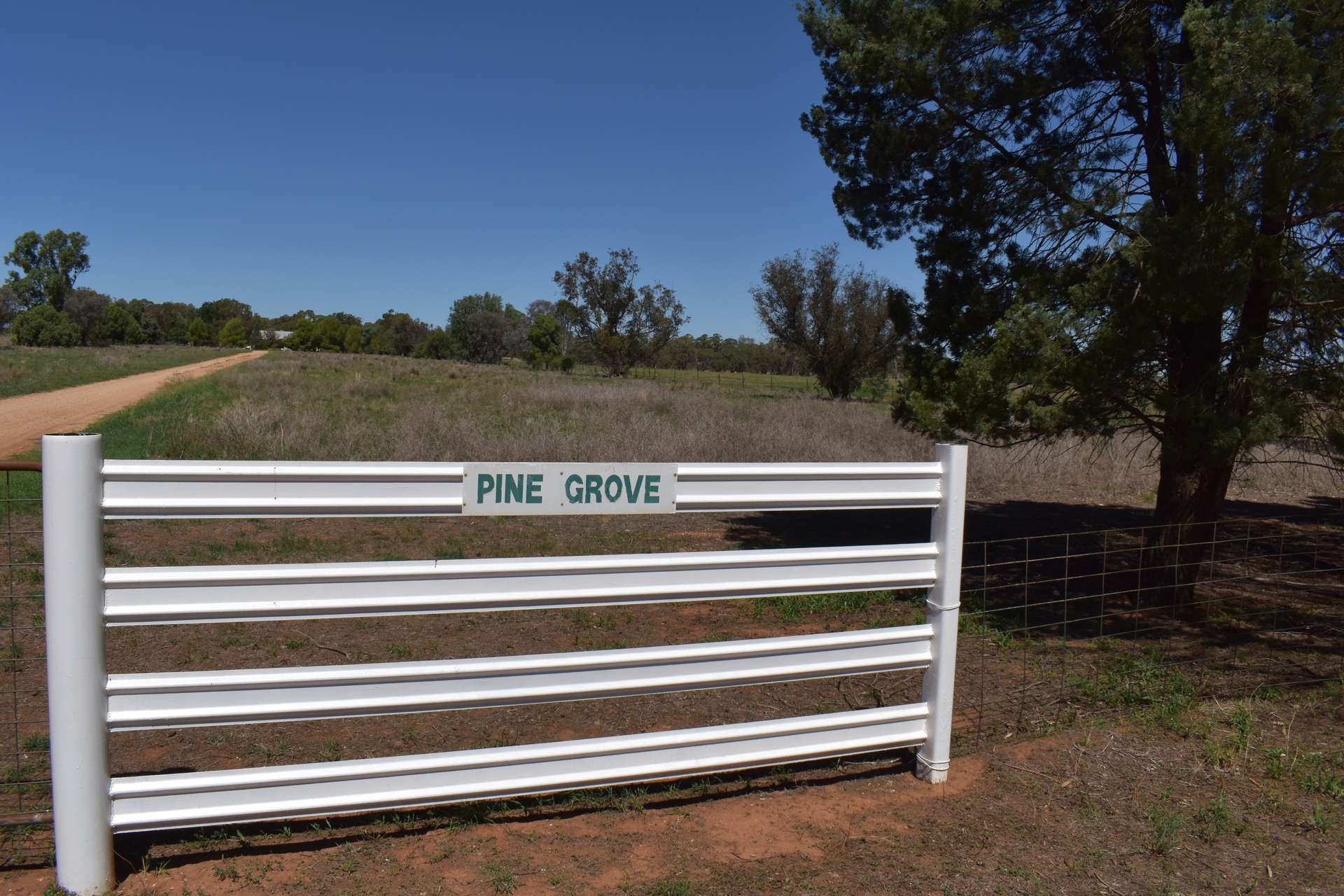 2892 Springvale Road, Condobolin For Sale by Farmbuy.com - image 14