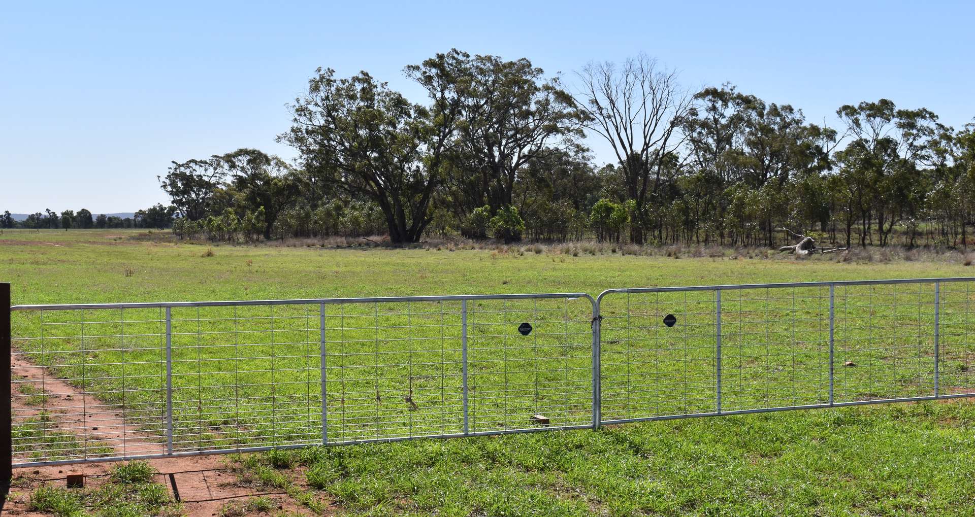 2892 Springvale Road, Condobolin For Sale by Farmbuy.com - image 19