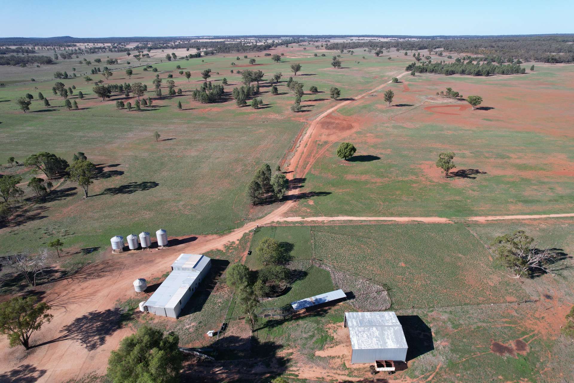 2892 Springvale Road, Condobolin For Sale by Farmbuy.com - image 13