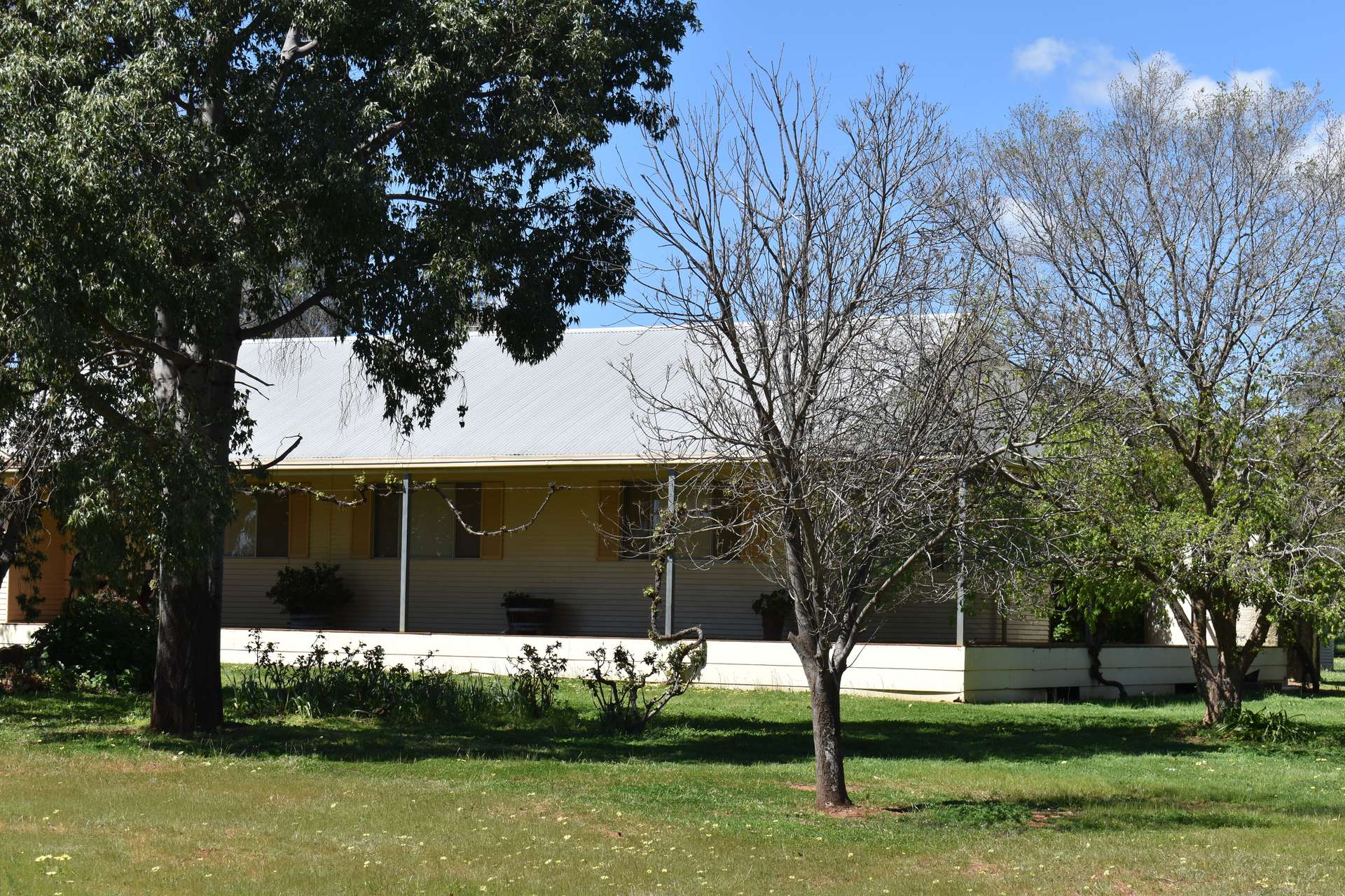 2892 Springvale Road, Condobolin For Sale by Farmbuy.com - image 33