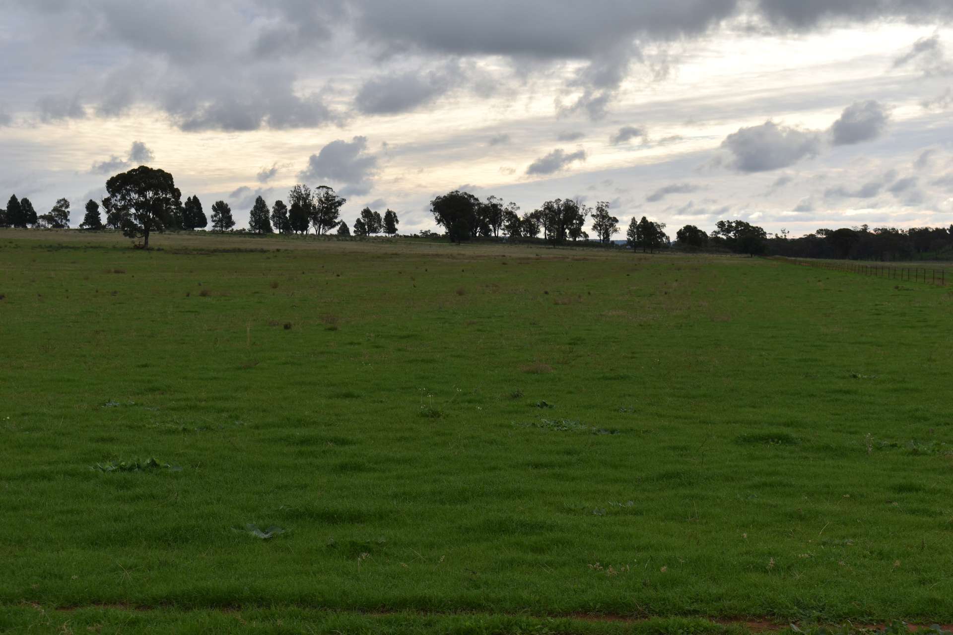 2892 Springvale Road, Condobolin For Sale by Farmbuy.com - image 3